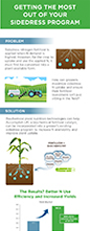 Sidedress_Infographic