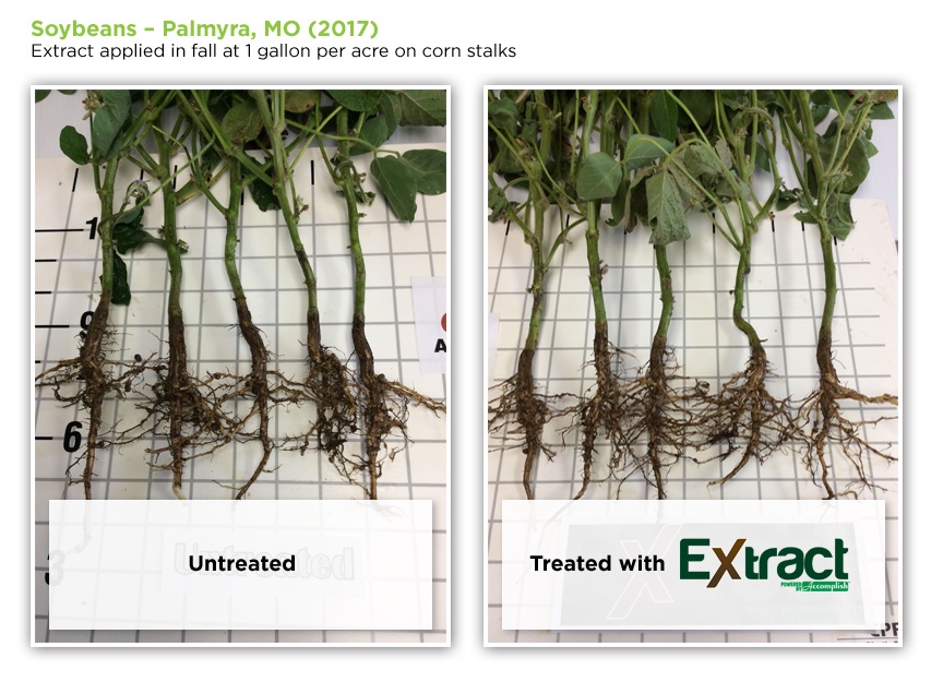 soybeans-roots-extract.jpg