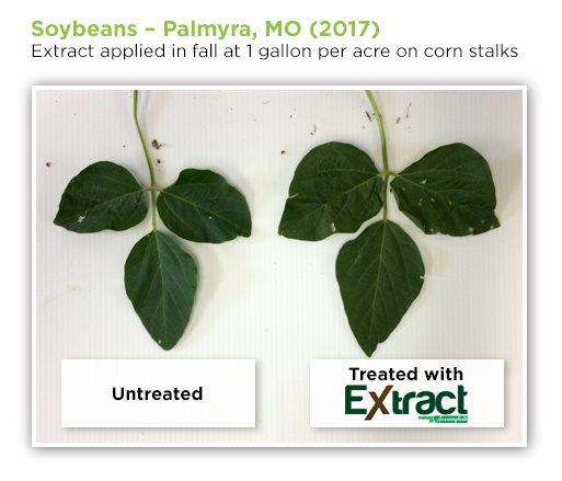 Soybeans Excel with Nutrient Release from Fall-Applied Extract PBA